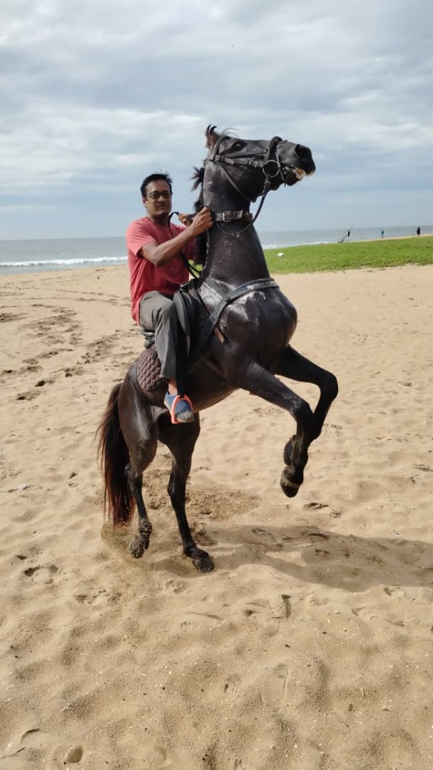 Horse Riding Experiences – Adventure Awaits View 2