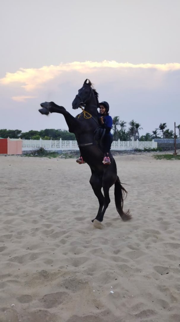 Horse Riding Experiences – Adventure Awaits View 3