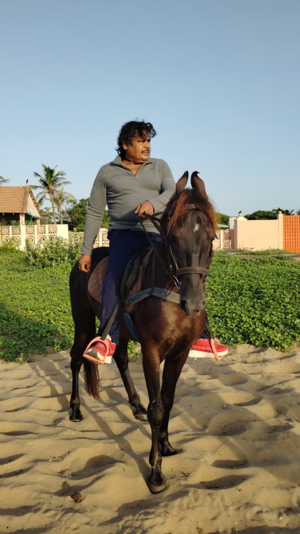 Horse Riding Training Program