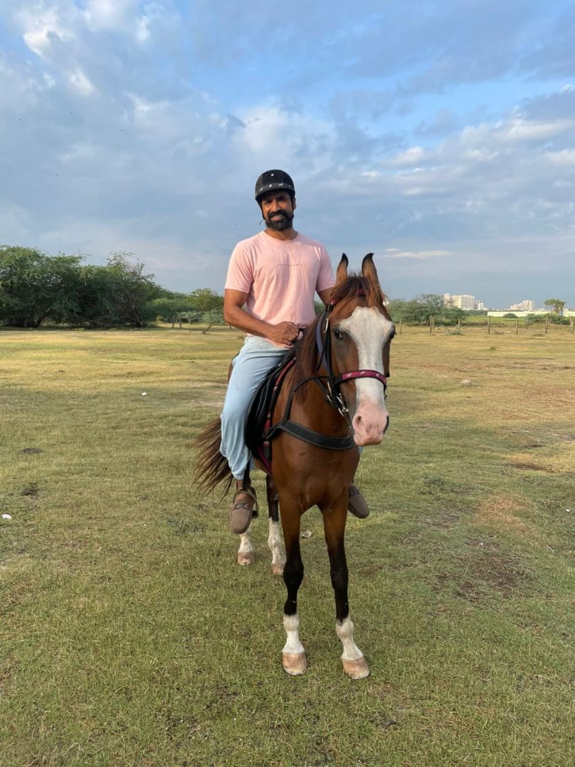 Horse Riding Training Program View 3