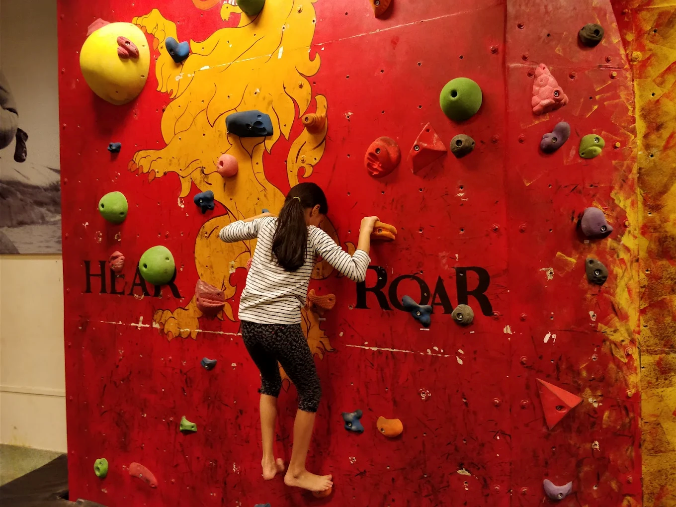 Bouldering (Indoor Climbing)