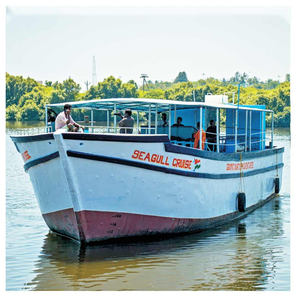 Seagull Cruise Boating – Mangrove Boating Through Nature Trails View 2