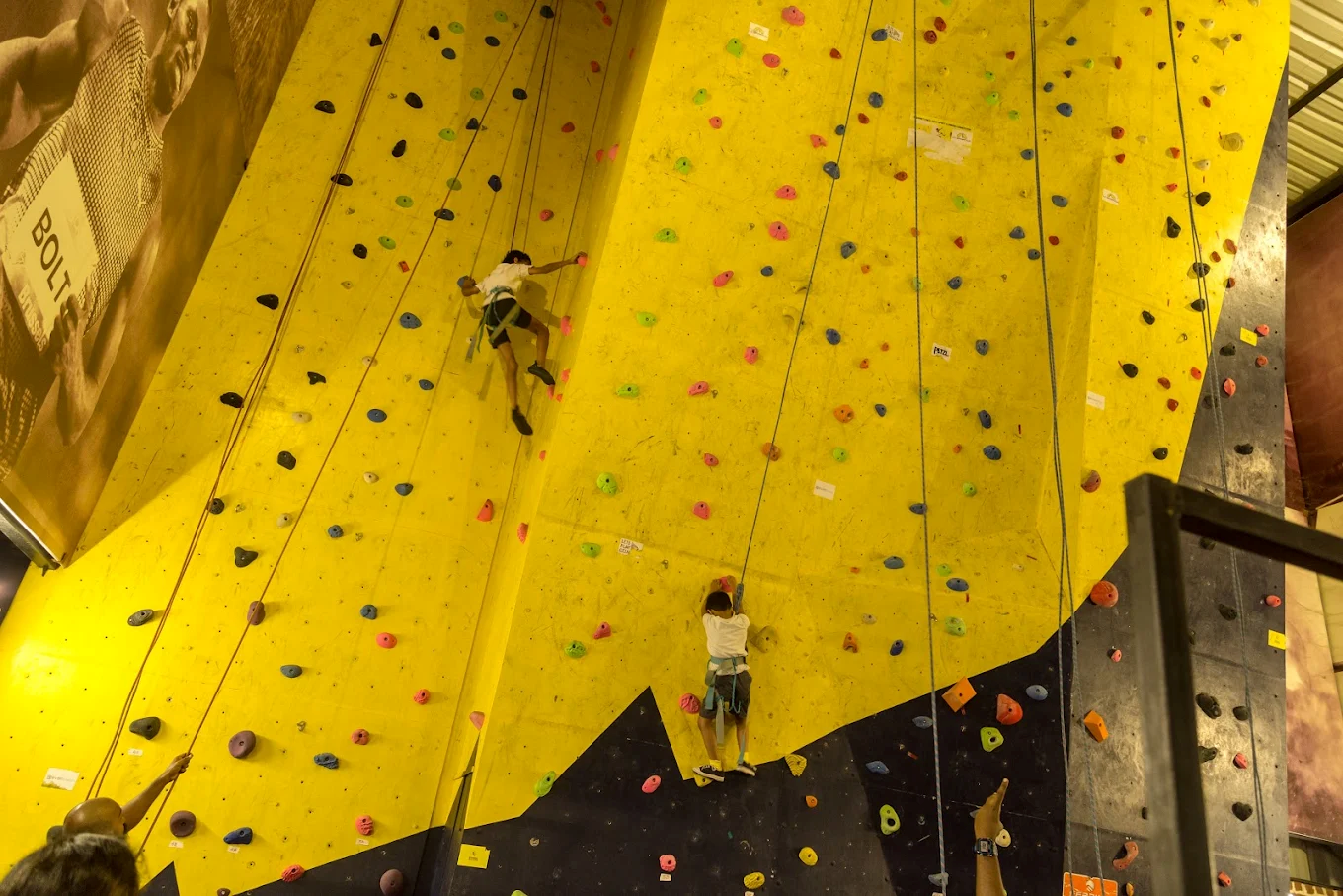 Top Rope Climbing (Indoor Climbing) View 3